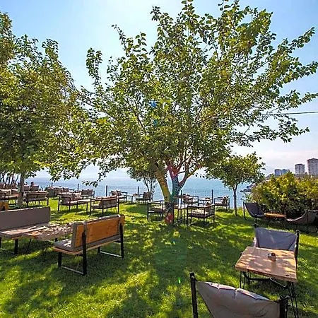 Avsar Boutique Hotel 3*