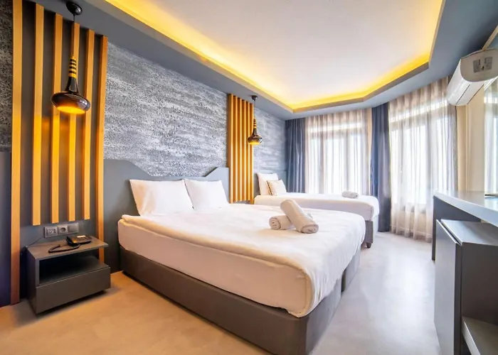 Avsar Boutique Hotell 3*
