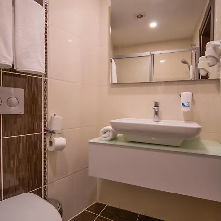 Avsar Boutique Hotel *